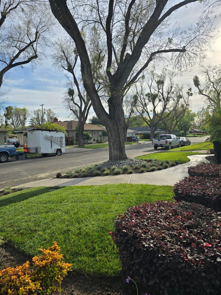 20240416 174945 scaled