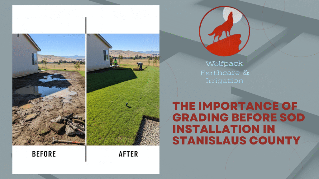 The Importance of Grading Before Sod Installation in Stanislaus County