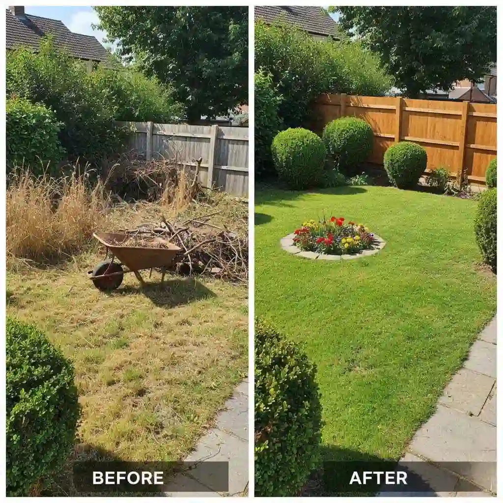 Before-and-after yard cleanup comparison