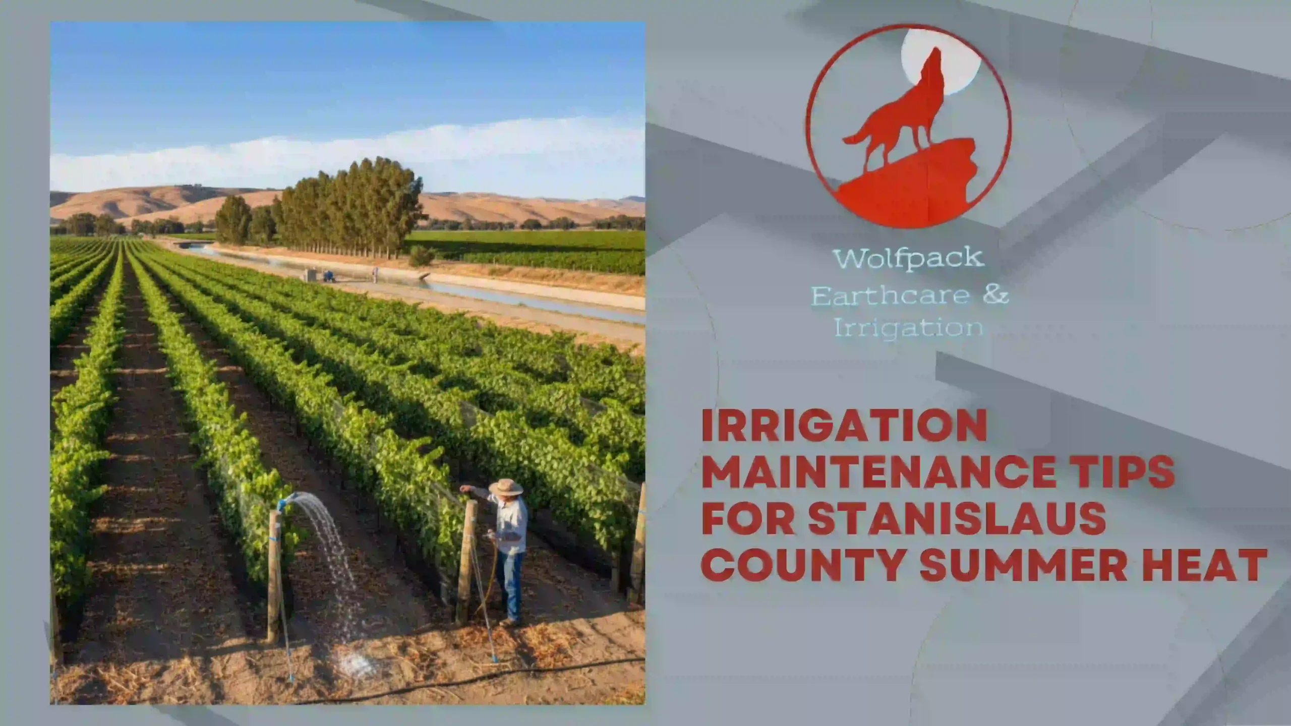 Irrigation Maintenance Tips for Stanislaus County Summer Heat