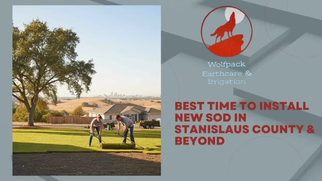 Best Time to Install New Sod in Stanislaus County & Beyond
