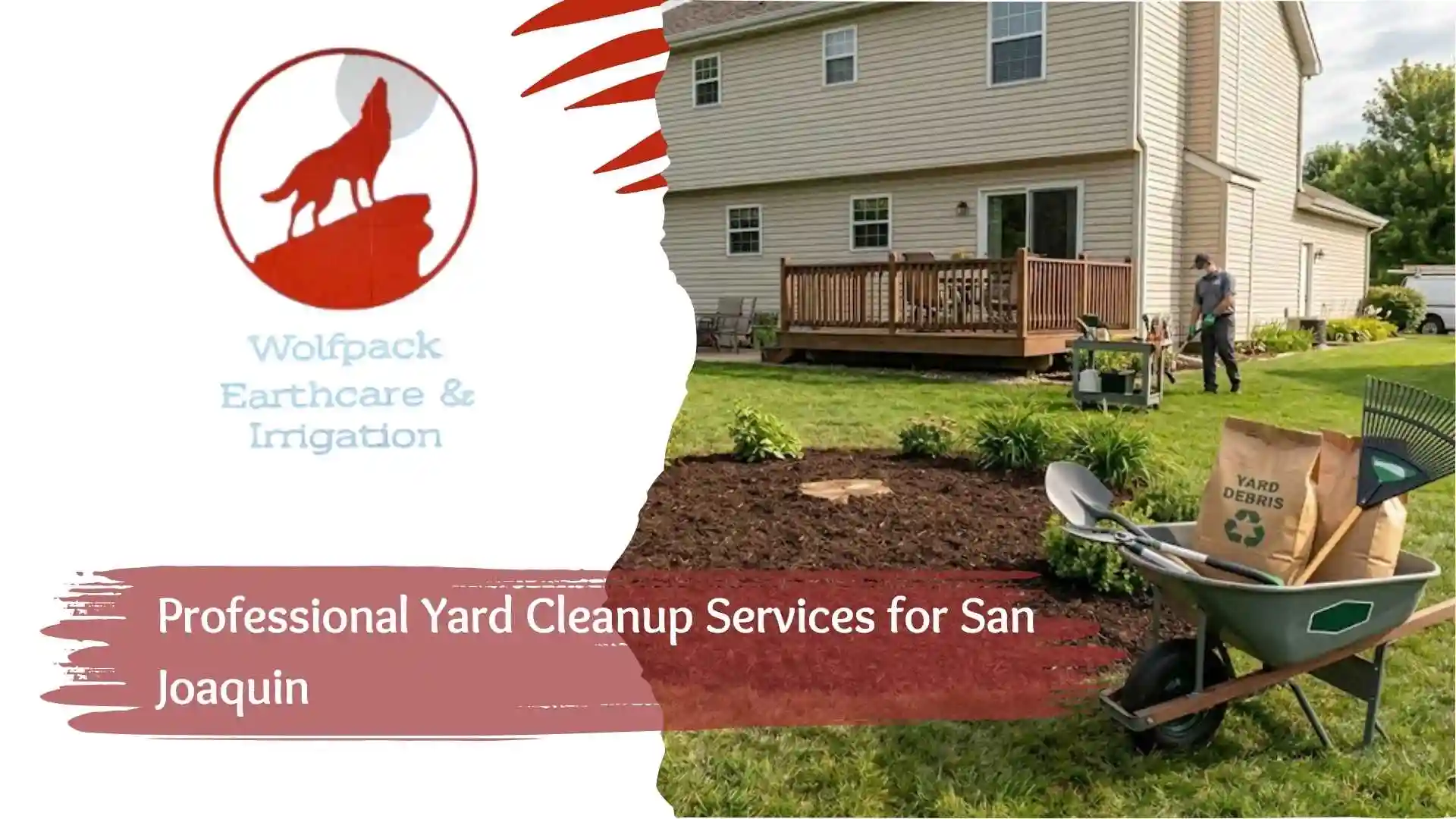 Professional Yard Cleanup Services for San Joaquin