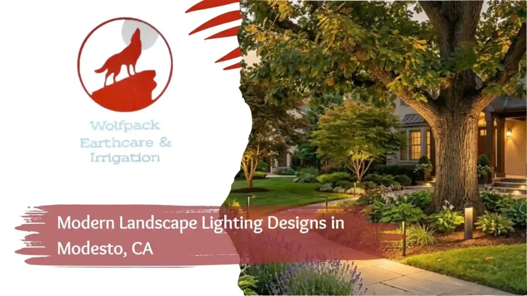 Modern Landscape Lighting Designs in Modesto, CA