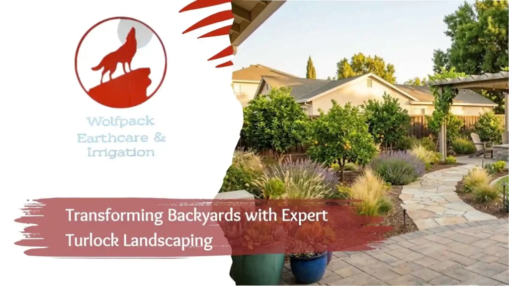 Transforming Backyards with Expert Turlock Landscaping